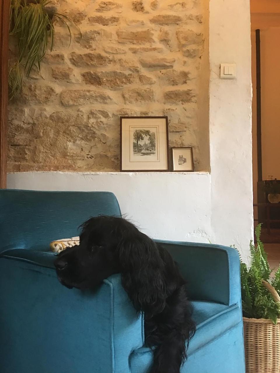 Bed and Breakfast La Bergerie Pradel Le Beaucet Esterno foto